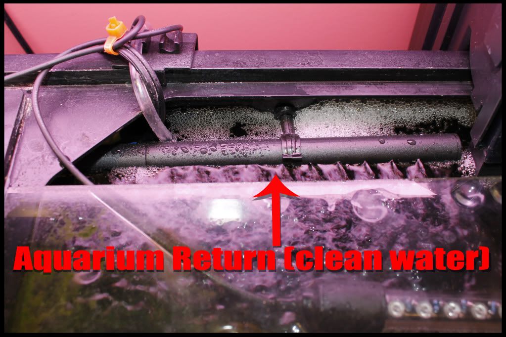 Hw302 Canister Filter Tropical Fish Forums